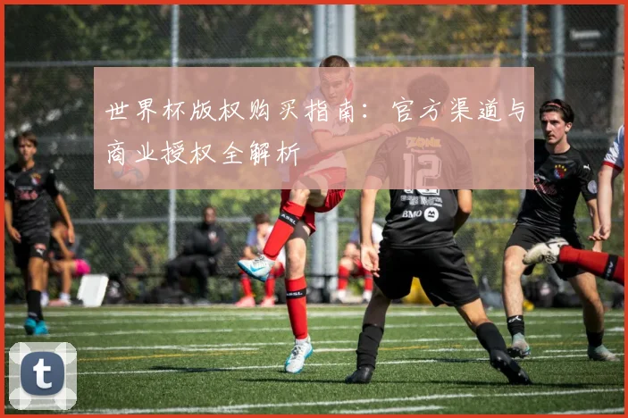 世界杯版权购买指南：官方渠道与商业授权全解析