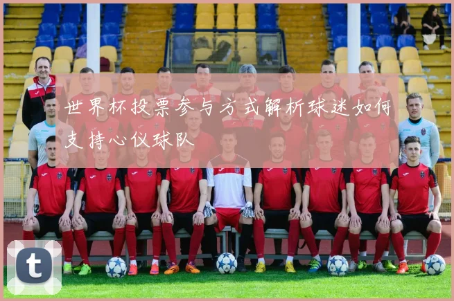 世界杯投票参与方式解析球迷如何支持心仪球队